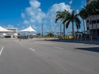 a empty empty street with palm trees and a sky background at the end of an airport