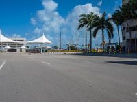 a empty empty street with palm trees and a sky background at the end of an airport