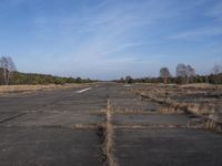 a empty road with trees in the distance on the side of it as people walk by