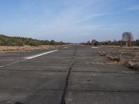 a empty road with trees in the distance on the side of it as people walk by