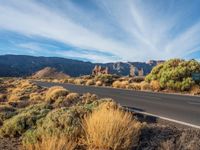 a empty road in the desert surrounded by vegetation and trees along with mountains in the background