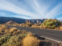 a empty road in the desert surrounded by vegetation and trees along with mountains in the background