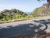 the road through the woods is empty and deserted by the sea, with the trees nearby
