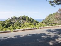 the road through the woods is empty and deserted by the sea, with the trees nearby