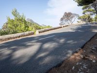 the road through the woods is empty and deserted by the sea, with the trees nearby