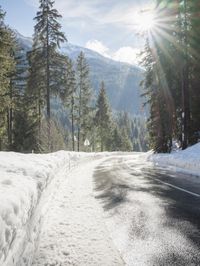 the road is very empty surrounded by trees and snow covered ground with cars on it