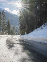 the road is very empty surrounded by trees and snow covered ground with cars on it