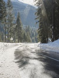 the road is very empty surrounded by trees and snow covered ground with cars on it