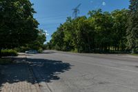 the empty road is lined with brick pavings near the sidewalk and trees around it