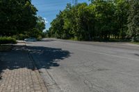 the empty road is lined with brick pavings near the sidewalk and trees around it