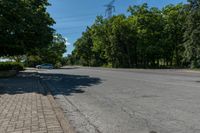 the empty road is lined with brick pavings near the sidewalk and trees around it