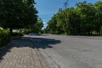 the empty road is lined with brick pavings near the sidewalk and trees around it