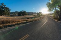 a long empty road leading into a grassy field at sunset time with trees and sun reflecting