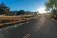 a long empty road leading into a grassy field at sunset time with trees and sun reflecting