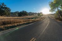 a long empty road leading into a grassy field at sunset time with trees and sun reflecting