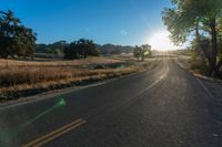 a long empty road leading into a grassy field at sunset time with trees and sun reflecting