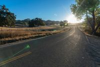 a long empty road leading into a grassy field at sunset time with trees and sun reflecting