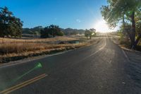 a long empty road leading into a grassy field at sunset time with trees and sun reflecting