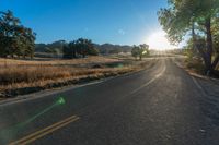 a long empty road leading into a grassy field at sunset time with trees and sun reflecting