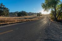 a long empty road leading into a grassy field at sunset time with trees and sun reflecting