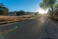 a long empty road leading into a grassy field at sunset time with trees and sun reflecting