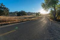 a long empty road leading into a grassy field at sunset time with trees and sun reflecting