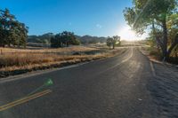 a long empty road leading into a grassy field at sunset time with trees and sun reflecting