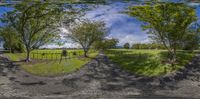 an empty road is surrounded by lush green fields with trees at the end of it