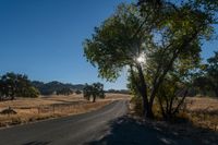 the sun shining in a clear blue sky over an empty road surrounded by trees and brush