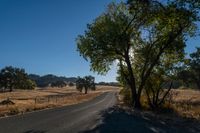 the sun shining in a clear blue sky over an empty road surrounded by trees and brush