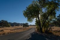 the sun shining in a clear blue sky over an empty road surrounded by trees and brush