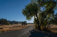 the sun shining in a clear blue sky over an empty road surrounded by trees and brush