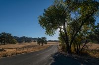 the sun shining in a clear blue sky over an empty road surrounded by trees and brush