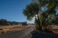 the sun shining in a clear blue sky over an empty road surrounded by trees and brush