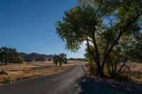 the sun shining in a clear blue sky over an empty road surrounded by trees and brush