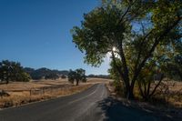 the sun shining in a clear blue sky over an empty road surrounded by trees and brush