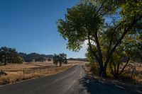 the sun shining in a clear blue sky over an empty road surrounded by trees and brush