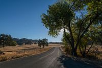 the sun shining in a clear blue sky over an empty road surrounded by trees and brush