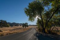 the sun shining in a clear blue sky over an empty road surrounded by trees and brush