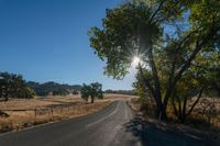 the sun shining in a clear blue sky over an empty road surrounded by trees and brush