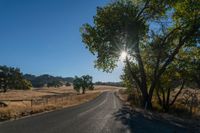 the sun shining in a clear blue sky over an empty road surrounded by trees and brush