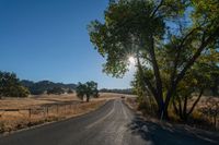 the sun shining in a clear blue sky over an empty road surrounded by trees and brush