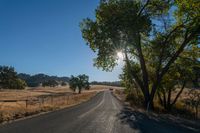 the sun shining in a clear blue sky over an empty road surrounded by trees and brush