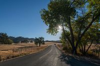 the sun shining in a clear blue sky over an empty road surrounded by trees and brush