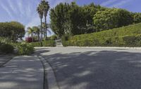 an empty road with tall trees behind it and houses on the side of each of the roads