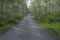 a white vehicle sitting in the middle of an empty road next to green bushes and trees