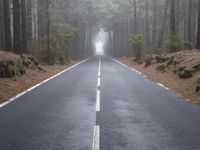 an empty road running through the woods in the fog with two white stripes down the center