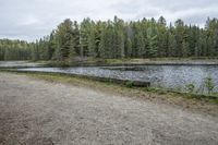 an empty road runs along side a pond surrounded by trees with water flowing below it