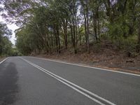 an empty road and two white lines on both sides, next to some trees and bushes