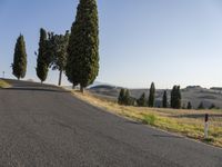 an empty road in the countryside with trees and grass on either side of it with no cars going